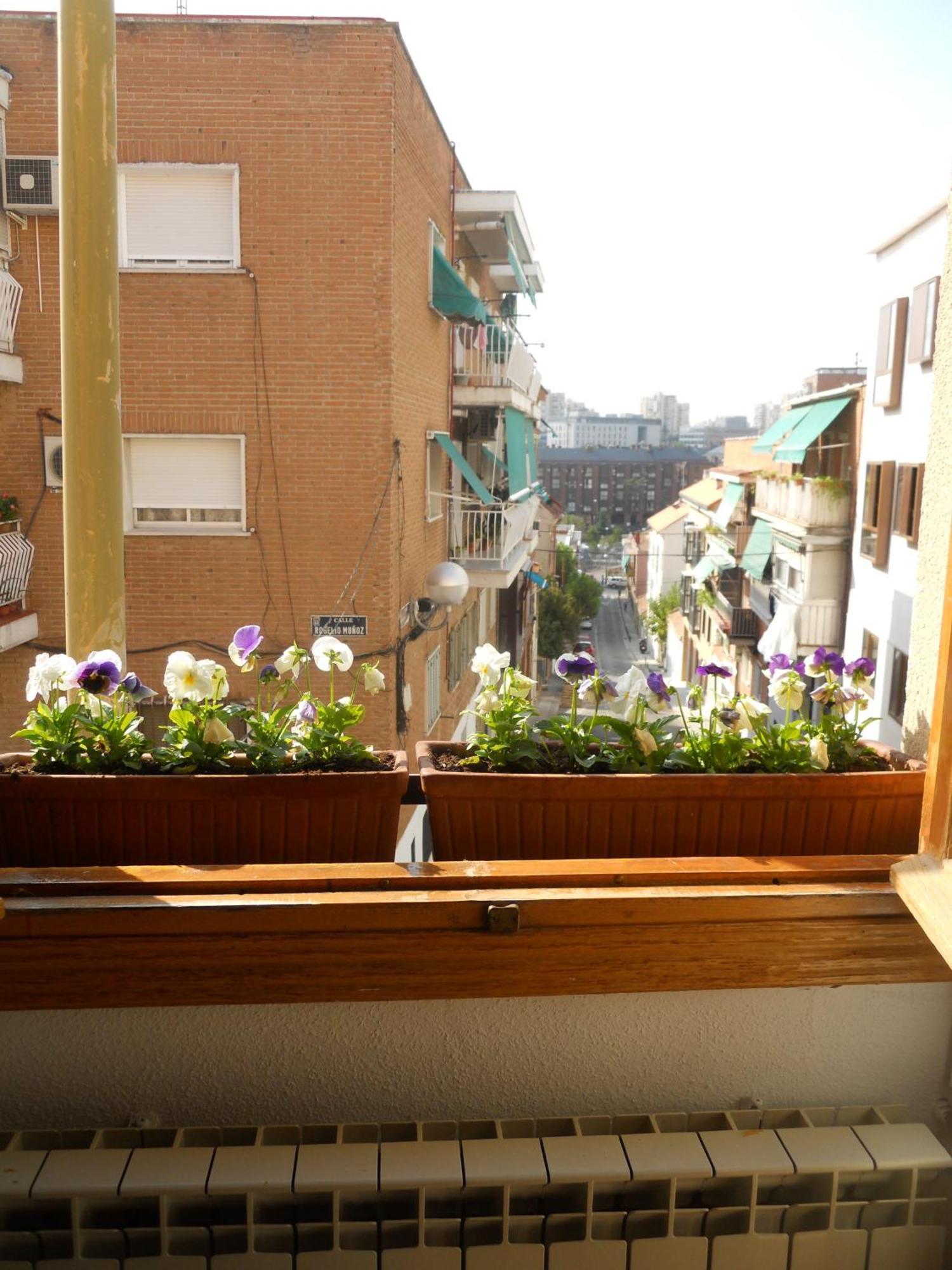 Hostal El Descanso — Photos 2